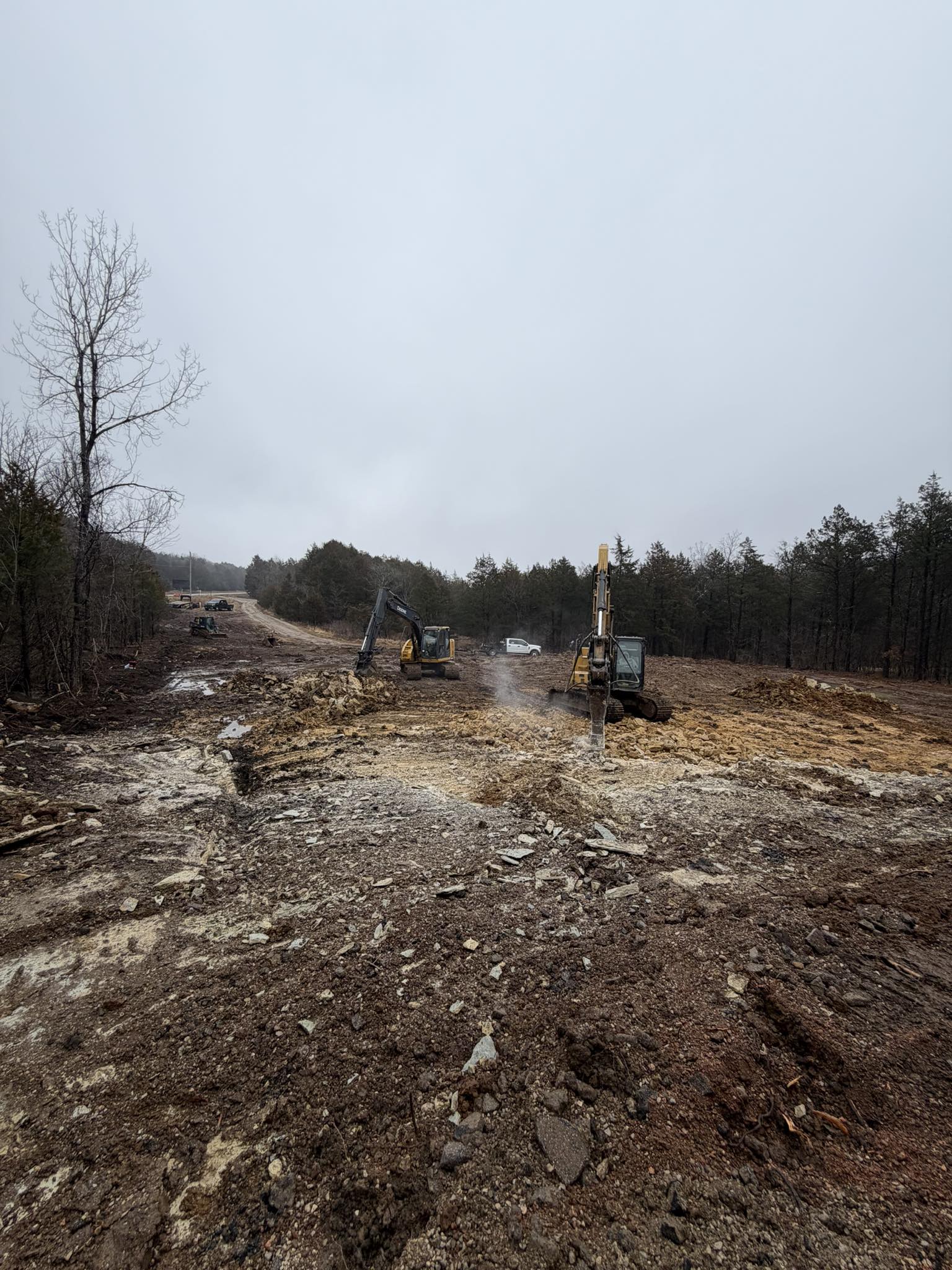 Two excavators clearing a wooded site